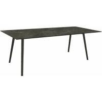 Table Interno 220x100 cm