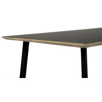 Table Oval Rechteckig 200x90 cm FSC -Wood