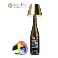 Outdoor Lamp Top LED Chrome