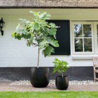 Plant planter Stijn Black Iron
