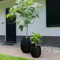 Plant planter Stijn Black Iron