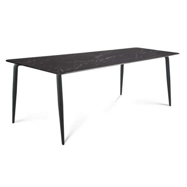 Dining Table 200x100 cm Rodona