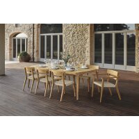 Dining Arm Chair Paralel