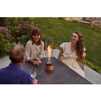 SPIN Air 900 oak (Liquid bioethanol)